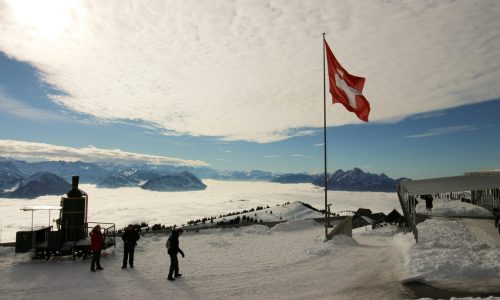 pexels-hebaysal-773473